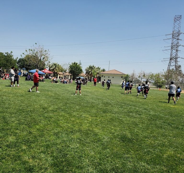 Soccer Field image 2