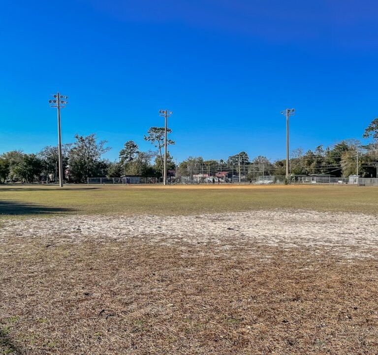 Soccer Field image 2