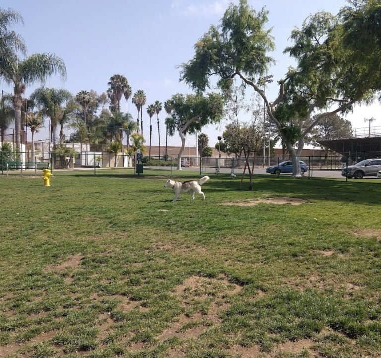 Soccer Field image 2