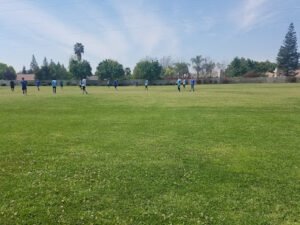 Soccer Field image 1