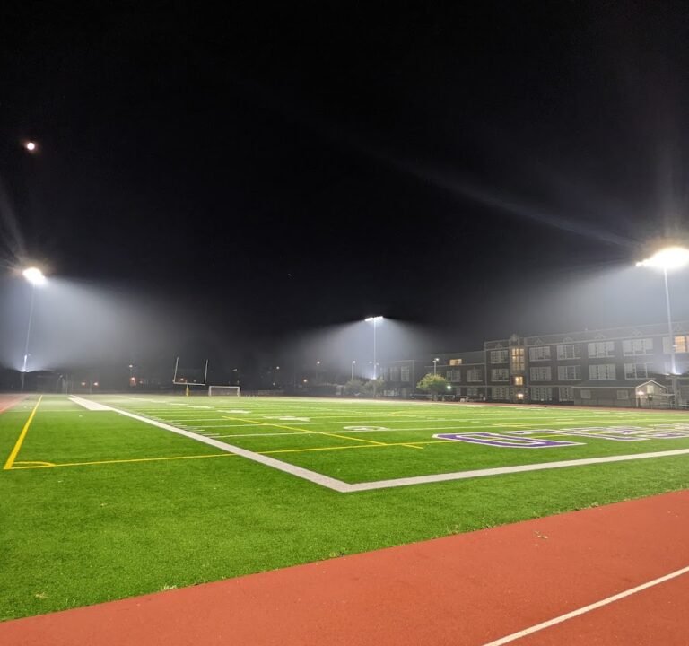 Soccer Field image 2