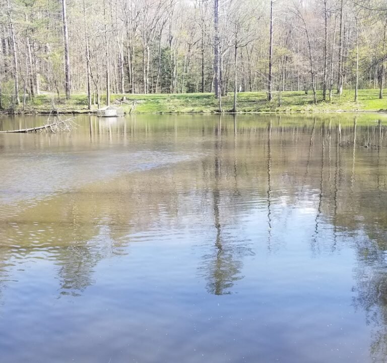 Soccer Field image 2