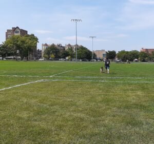 Soccer Field image 2