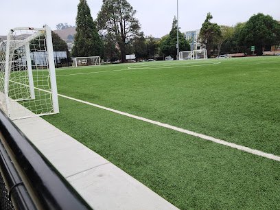 Soccer Field image 1