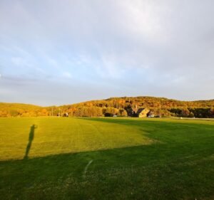 Soccer Field image 2