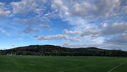 Soccer Field image 1