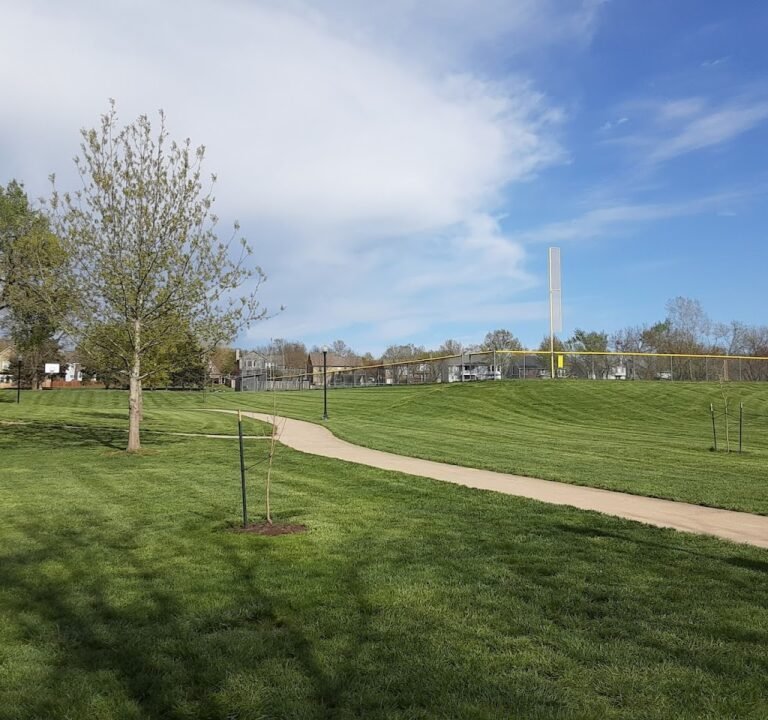 Soccer Field image 2