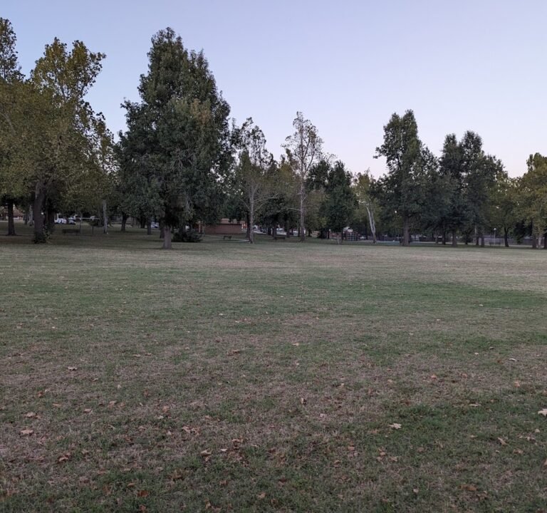 Soccer Field image 2