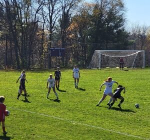 Soccer Field image 2