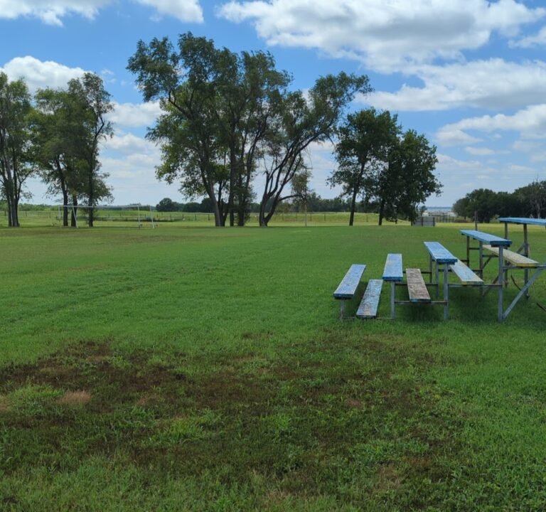 Soccer Field image 2