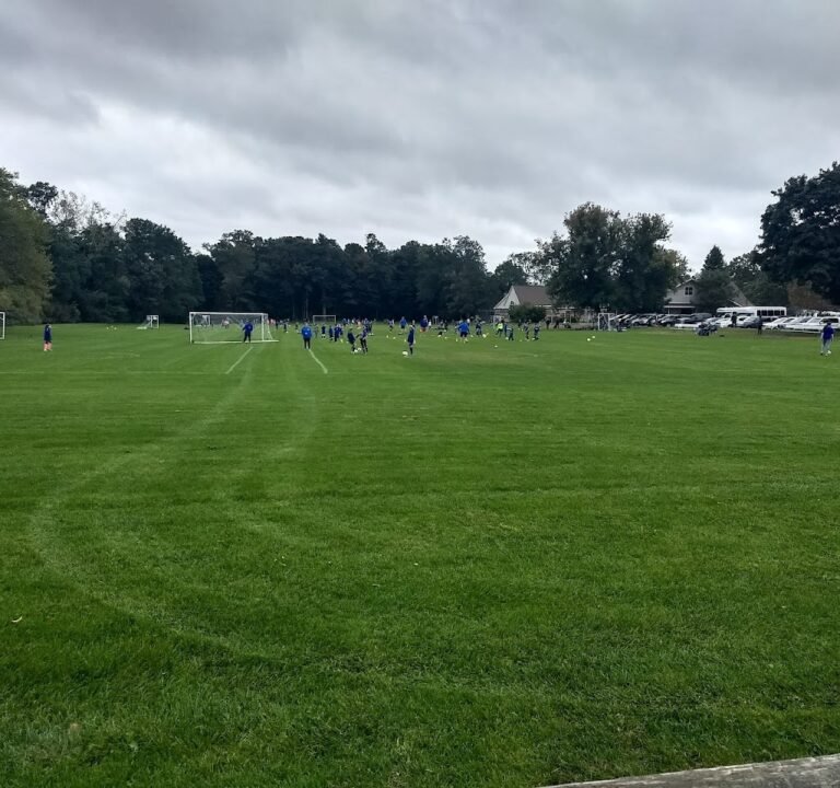 Soccer Field image 2