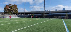 Soccer Field image 1