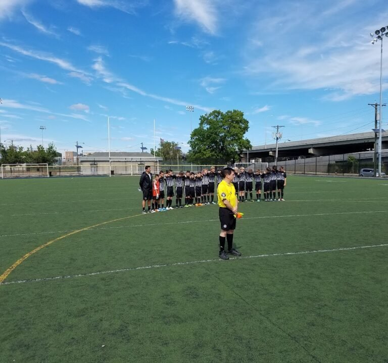 Soccer Field image 2
