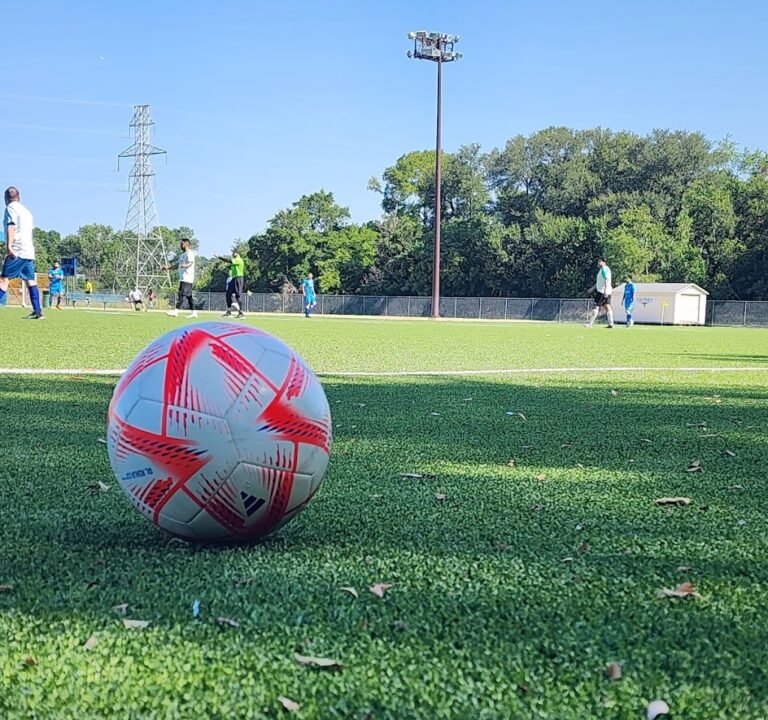 Soccer Field image 2