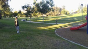 Soccer Field image 1