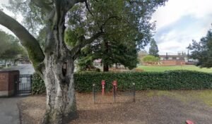 Soccer Field image 1