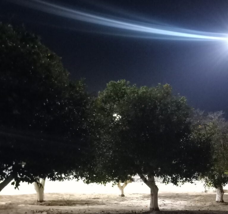 Soccer Field image 3