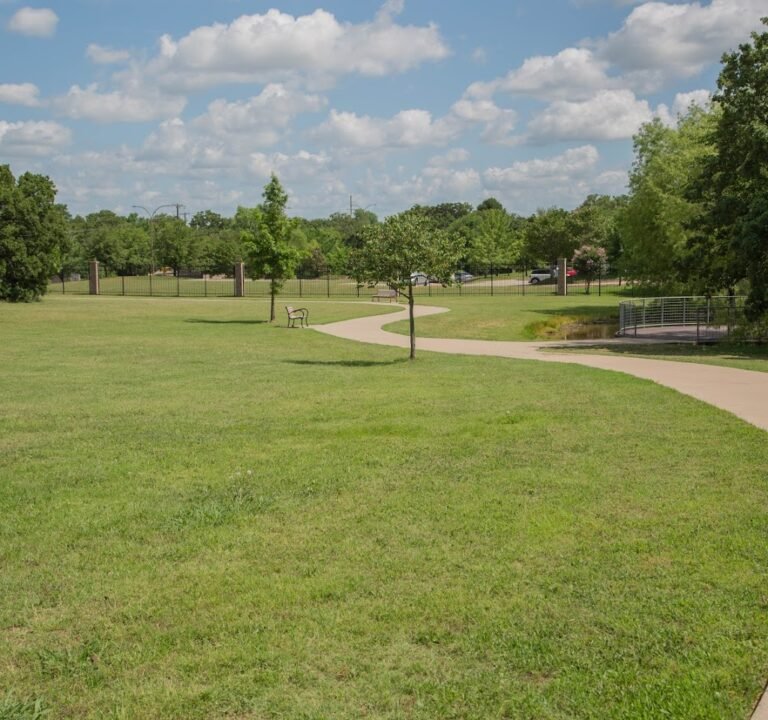 Soccer Field image 2