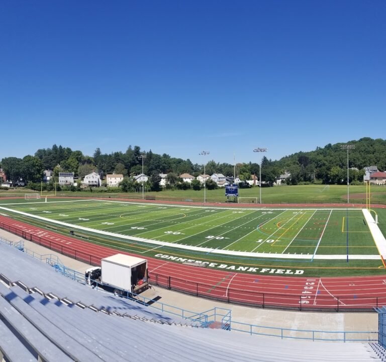 Soccer Field image 2