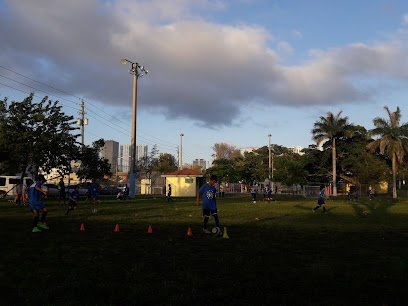 Soccer Field image 1