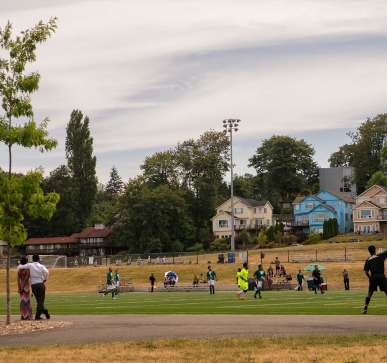 Soccer Field image 2
