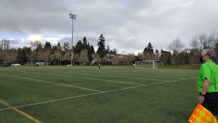 Soccer Field image 1
