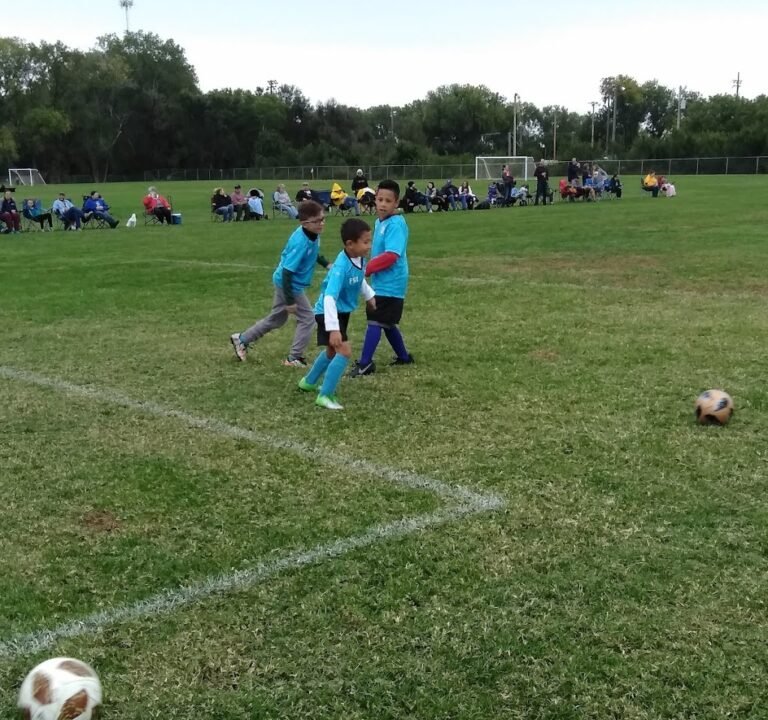 Soccer Field image 3