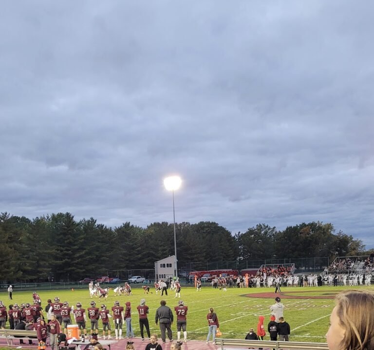 Soccer Field image 2