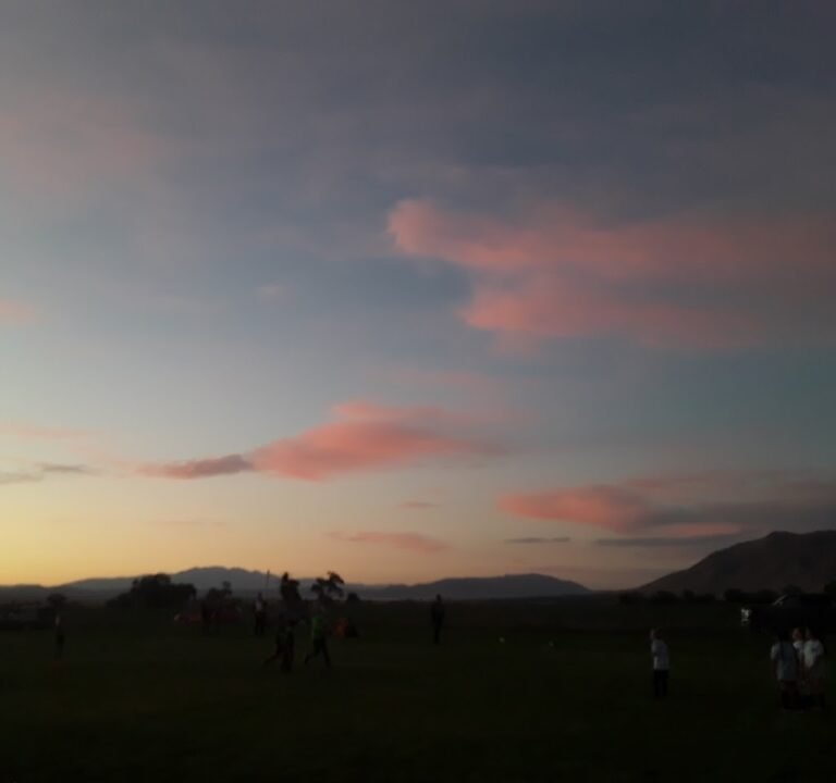 Soccer Field image 3