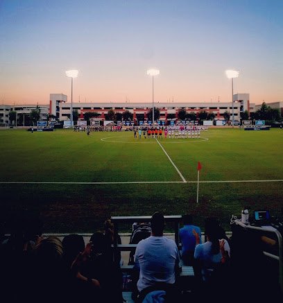 Soccer Field image 1