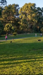 Soccer Field image 1