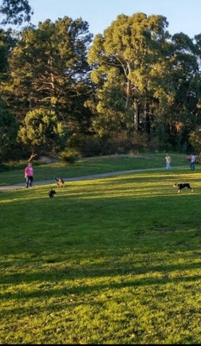 Soccer Field image 1