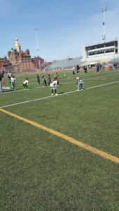 Soccer Field image 1