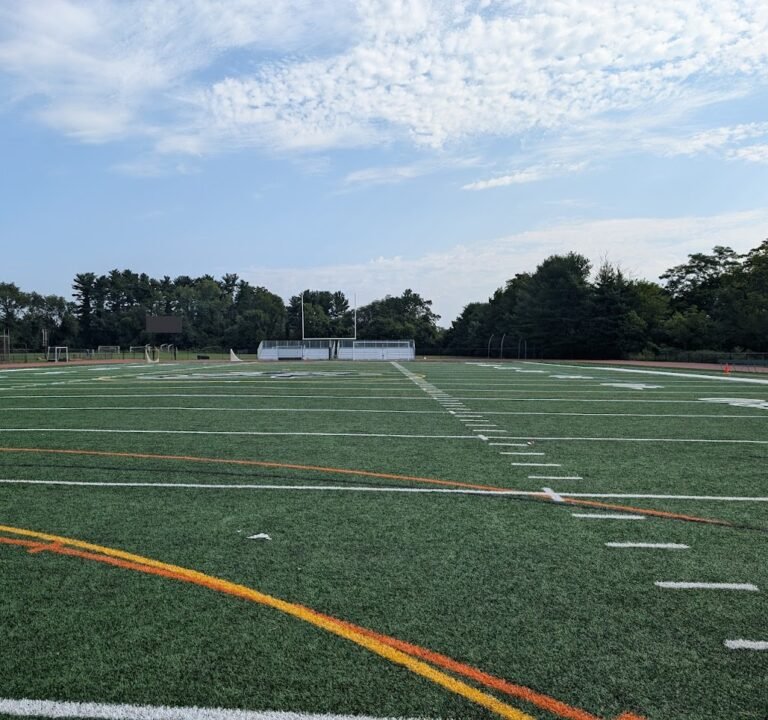 Soccer Field image 2