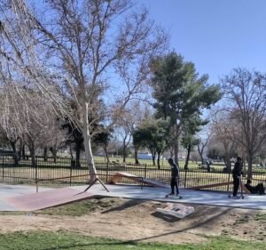 Soccer Field image 4