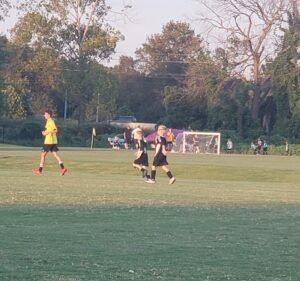 Soccer Field image 3