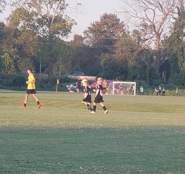 Soccer Field image 3