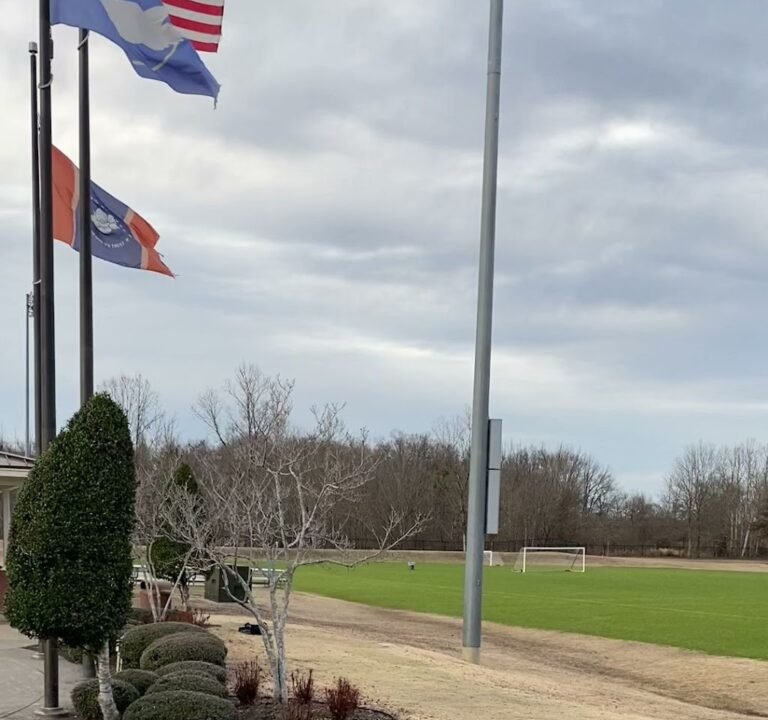 Soccer Field image 4