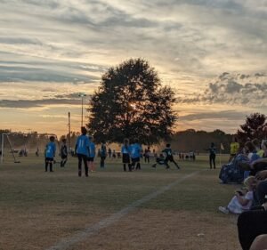 Soccer Field image 2