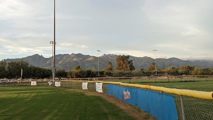 Soccer Field image 1