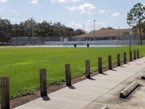 Soccer Field image 1