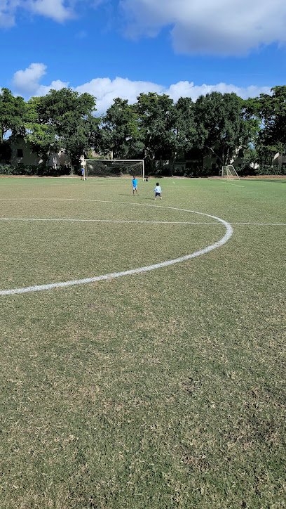 Soccer Field image 1