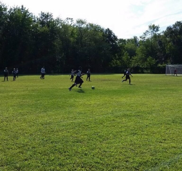 Soccer Field image 3