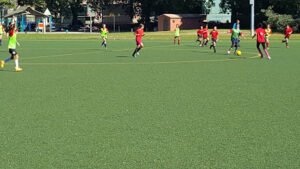 Soccer Field image 1