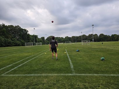 Soccer Field image 1