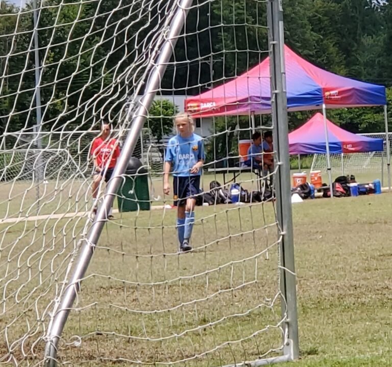 Soccer Field image 3