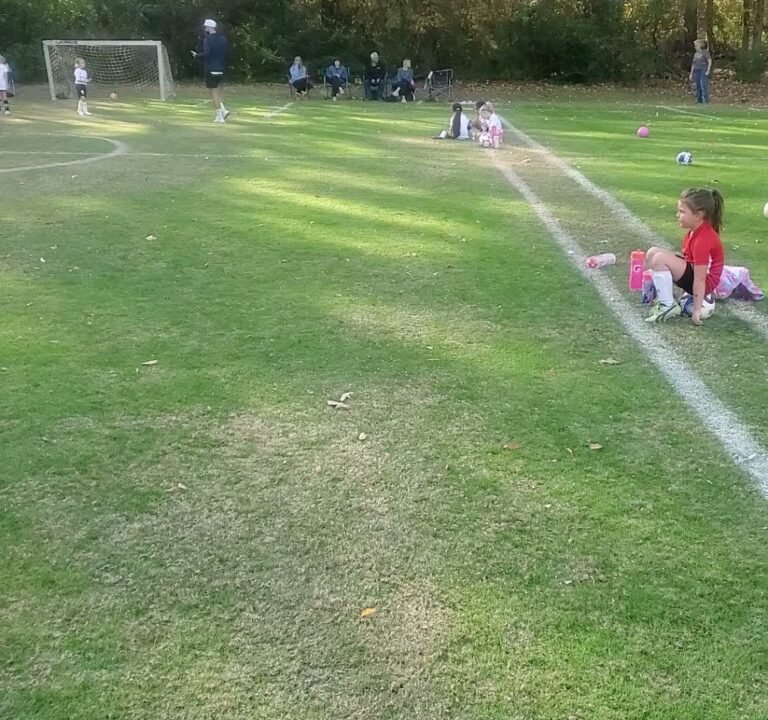 Soccer Field image 4