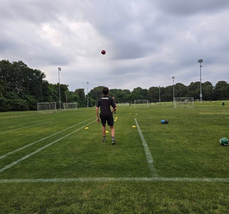 Soccer Field image 2