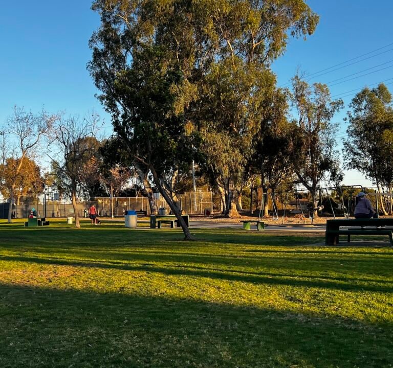 Soccer Field image 2