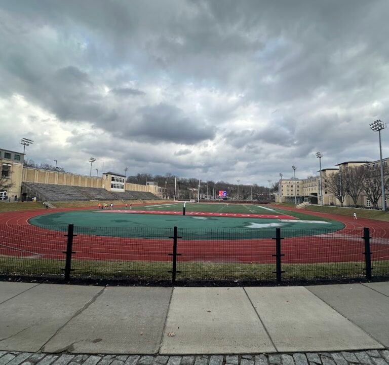 Soccer Field image 3
